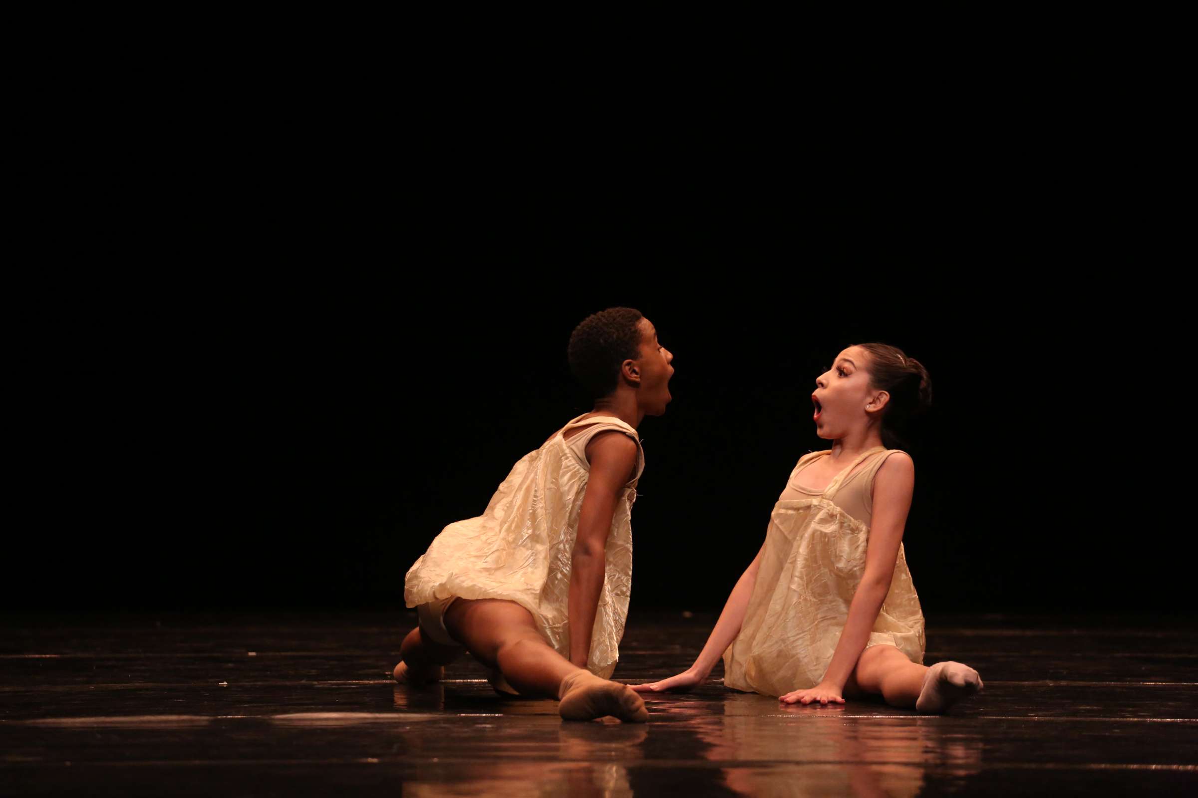 by Fernanda Torquato