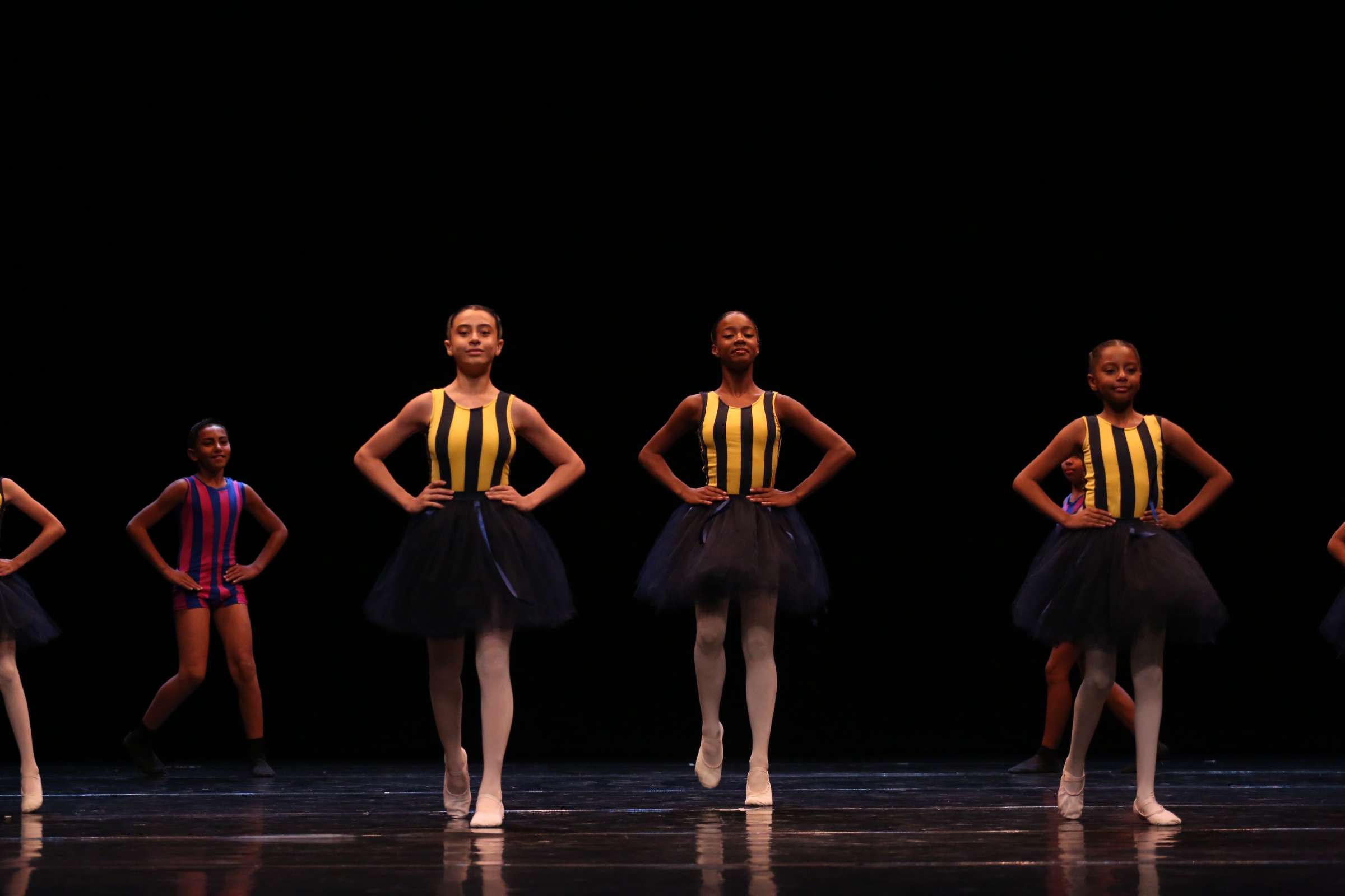 by Fernanda Torquato